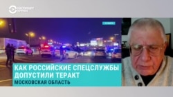 Федоров: "В российской терминологии есть некие исполнители и есть те, кого они называют "кукловодами""