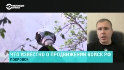 "Второй раз такую кровавую мясорубку уже развить не смогут". Почему Россия не перебрасывает военных с Донбасса в Курскую область
